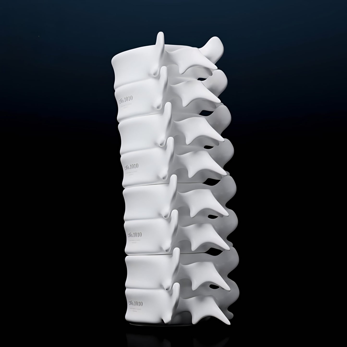 Spine Mug – Ceramic Vertebrae Coffee Cup Original Design