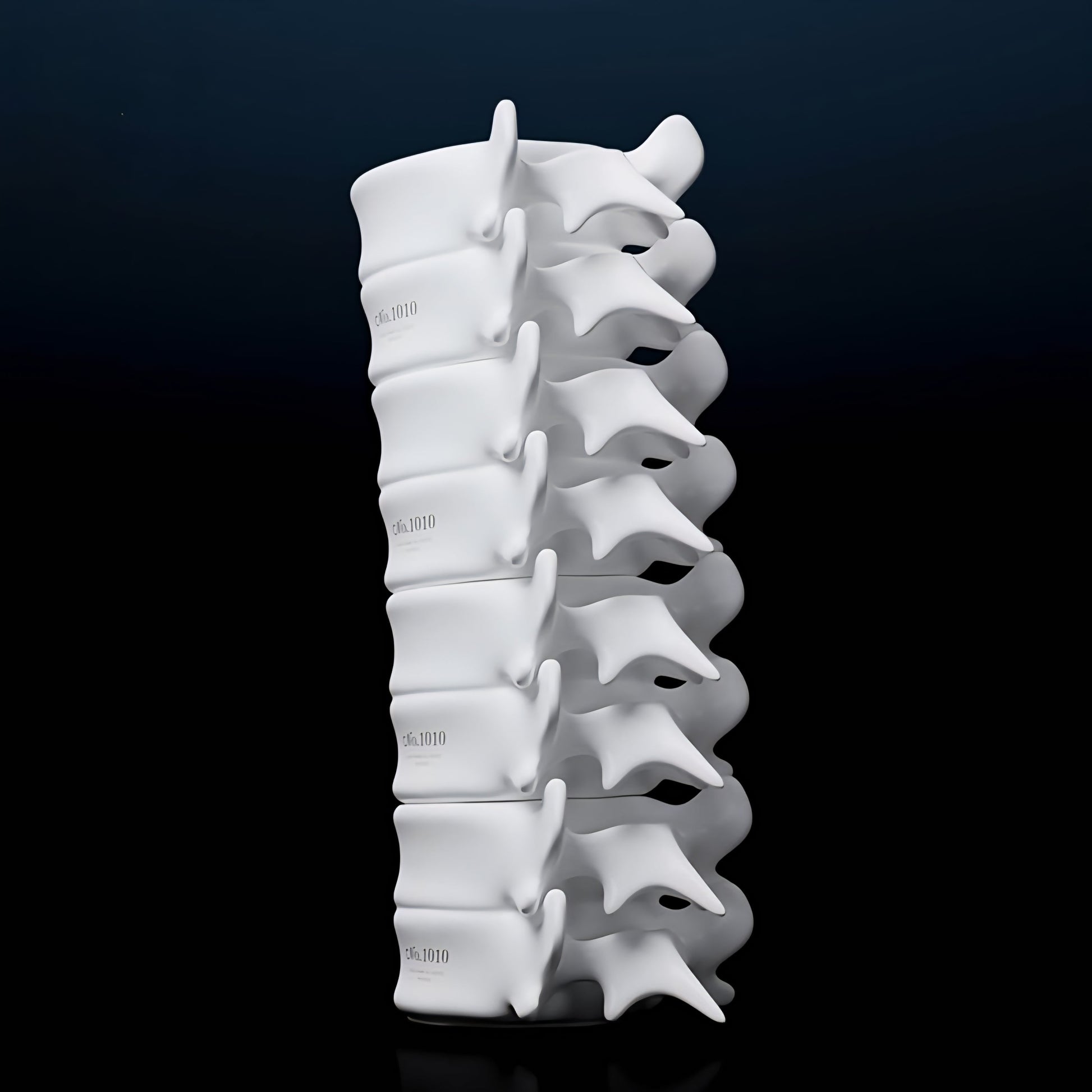 Spine Mug – Ceramic Vertebrae Coffee Cup Original Design