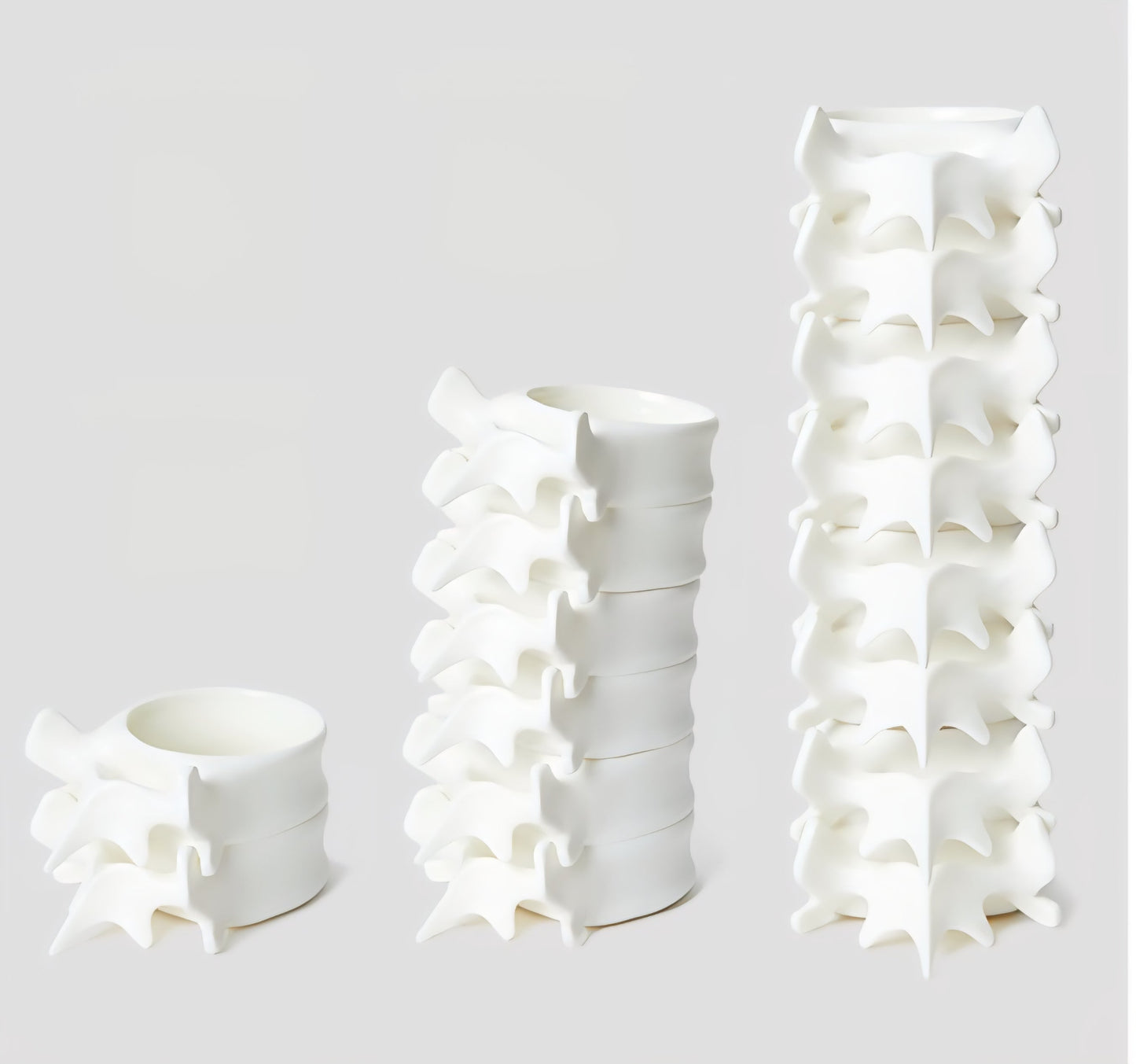 Spine Mug – Ceramic Vertebrae Coffee Cup Original Design