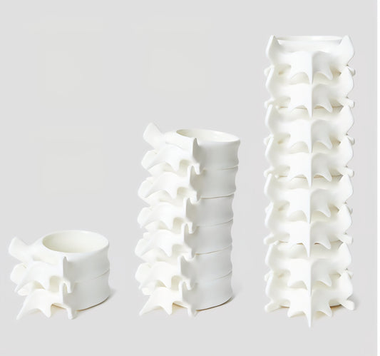 Spine Mug – Ceramic Vertebrae Coffee Cup Original Design
