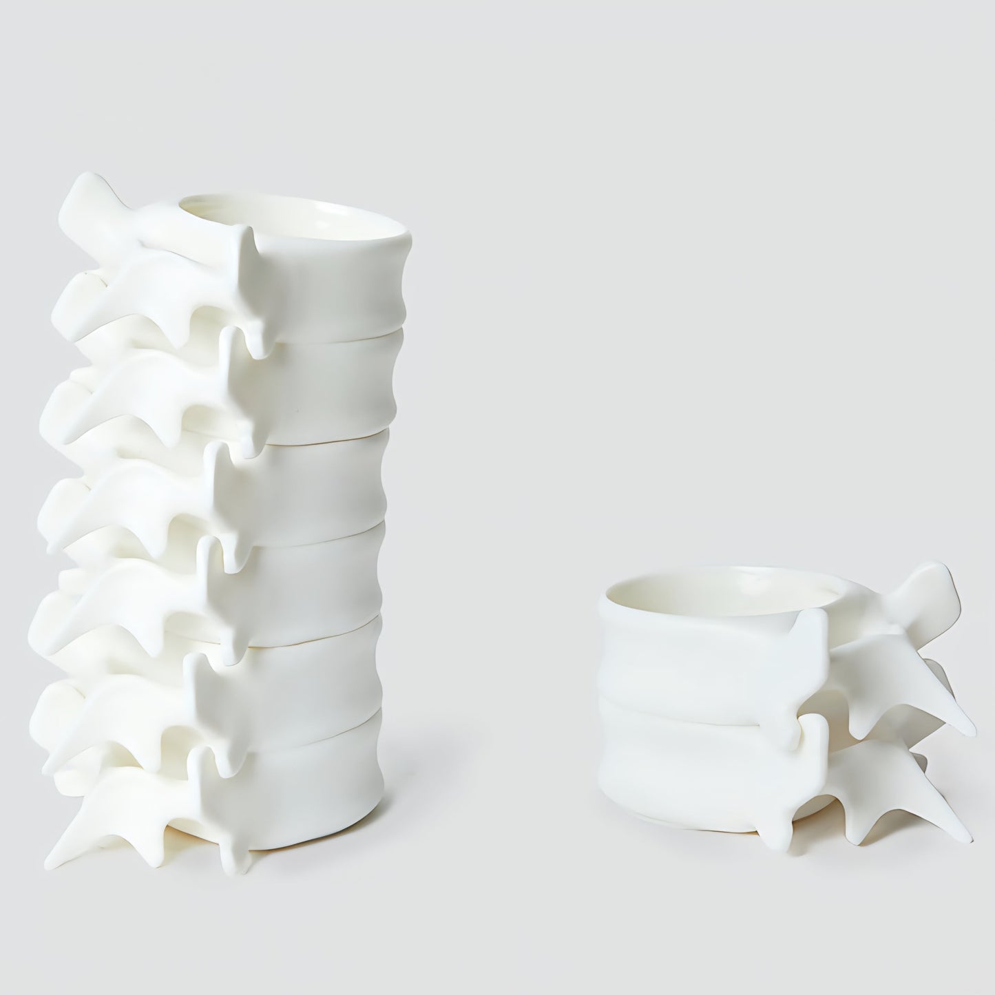 Spine Mug – Ceramic Vertebrae Coffee Cup Original Design