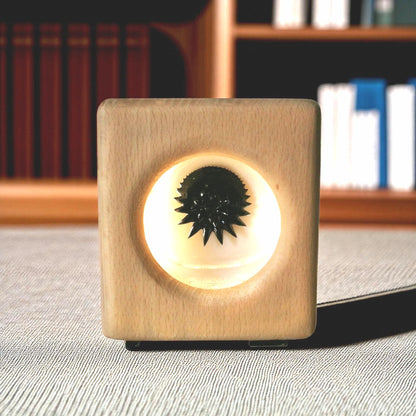 Aurora Flux Lamp – Handmade Walnut Ferrofluid Sound Visualizer Original Design