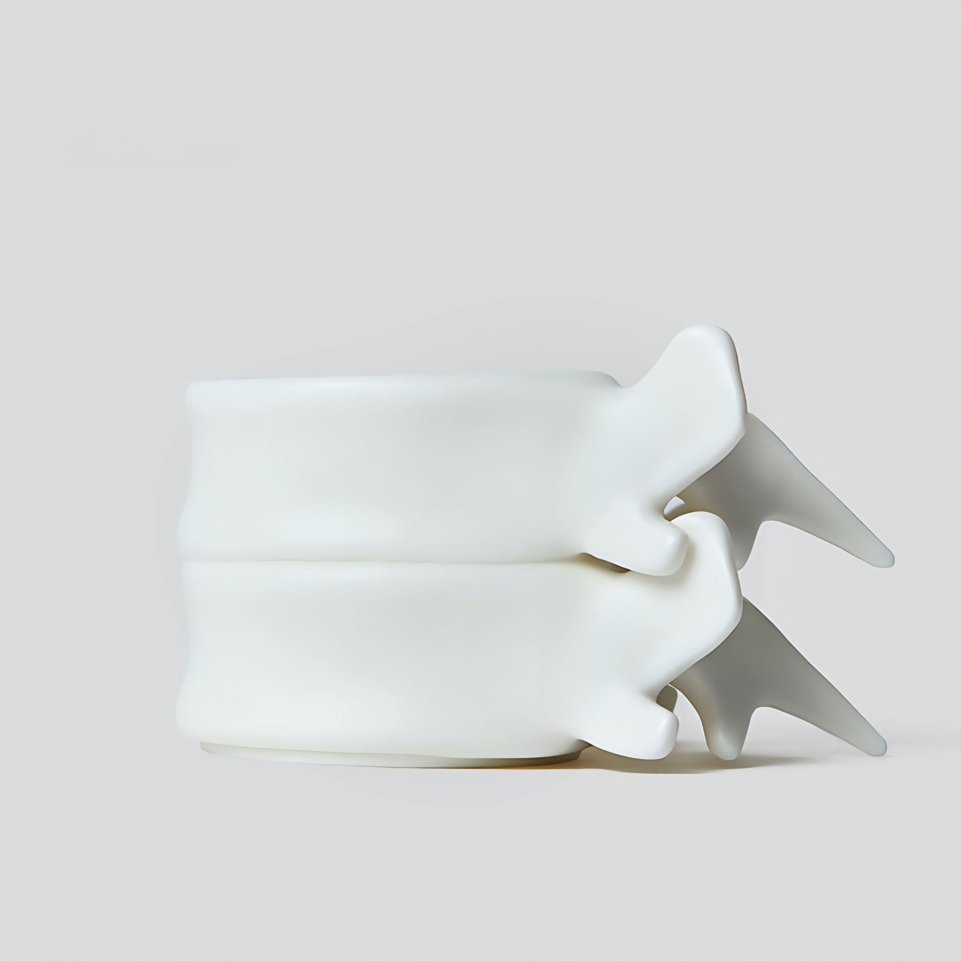 Spine Mug – Ceramic Vertebrae Coffee Cup Original Design