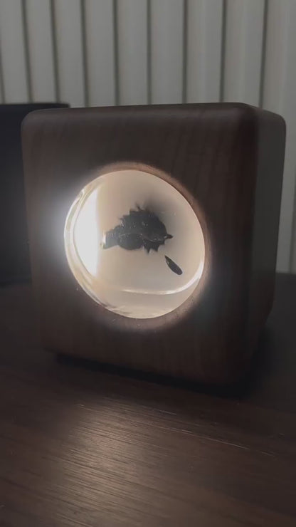 Aurora Flux Lamp – Handmade Walnut Ferrofluid Sound Visualizer